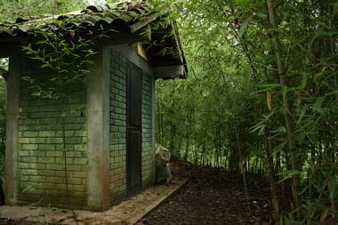 Baño seco del bosque