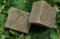jmenta