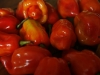 pimiento-choco