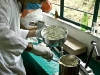 fabricando-pasta-dental