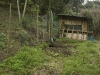 gallinero